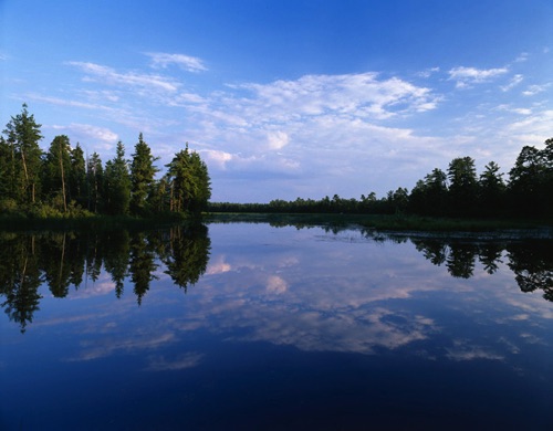 Batsto River, Pine Barrens, Burlington County, NJ (MF).jpg Batsto River, Pine Barrens, Burlington County, NJ (MF).jpg